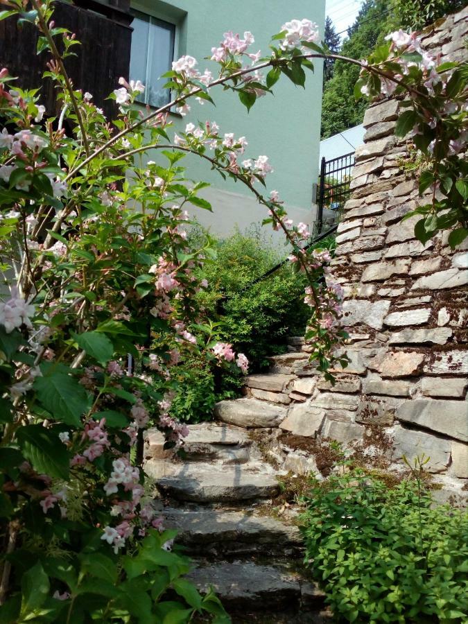 Apartamenty Kaskada Miedzygorze Εξωτερικό φωτογραφία